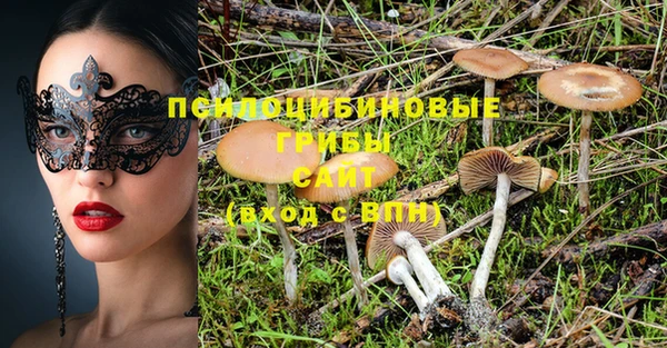 крисы Алексеевка