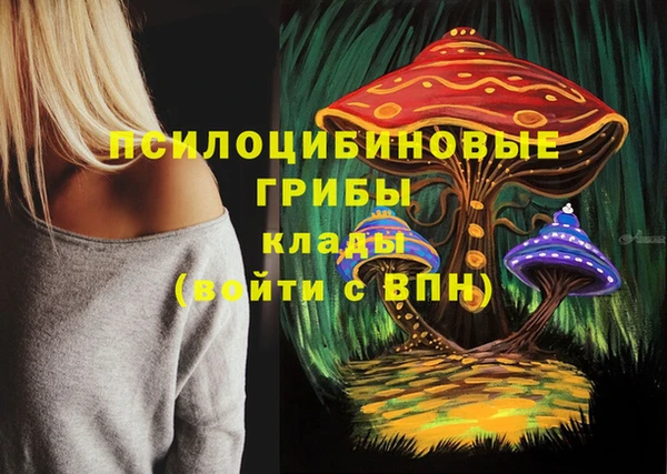 ПСИЛОЦИБИНОВЫЕ ГРИБЫ Алексин