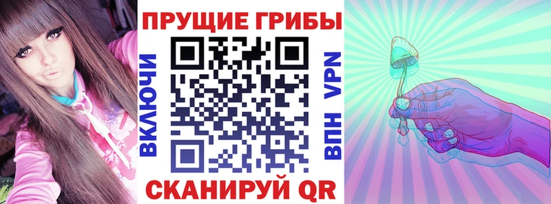 MEGA tor  Серов  Галлюциногенные грибы прущие грибы 