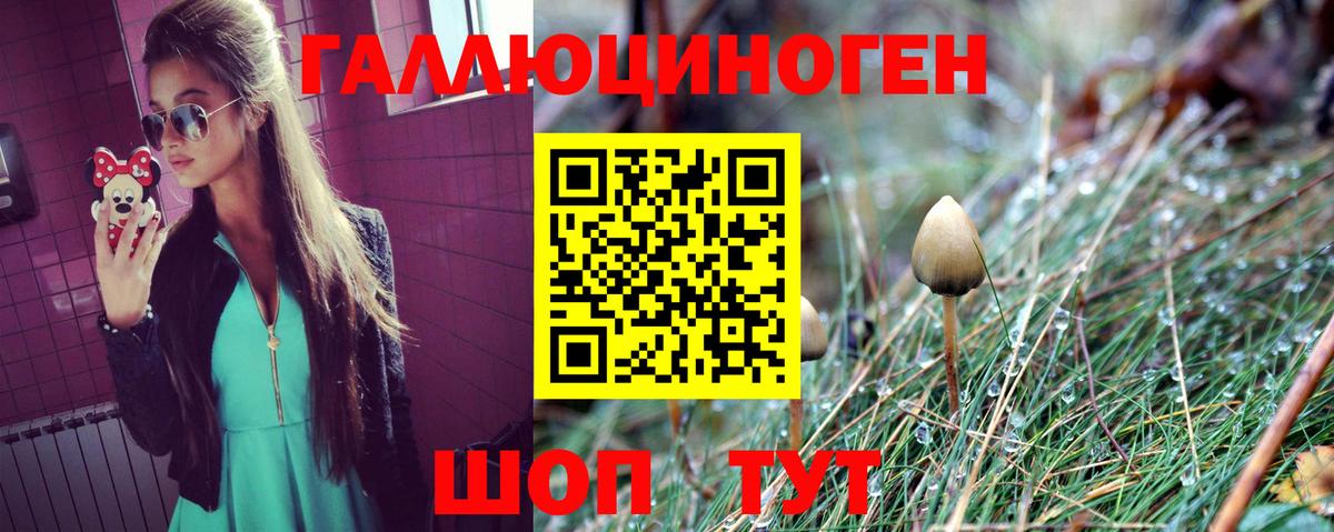 Псилоцибиновые грибы Psilocybe  Галлюциногенные грибы Cubensis  Серов  Вход с VPN 