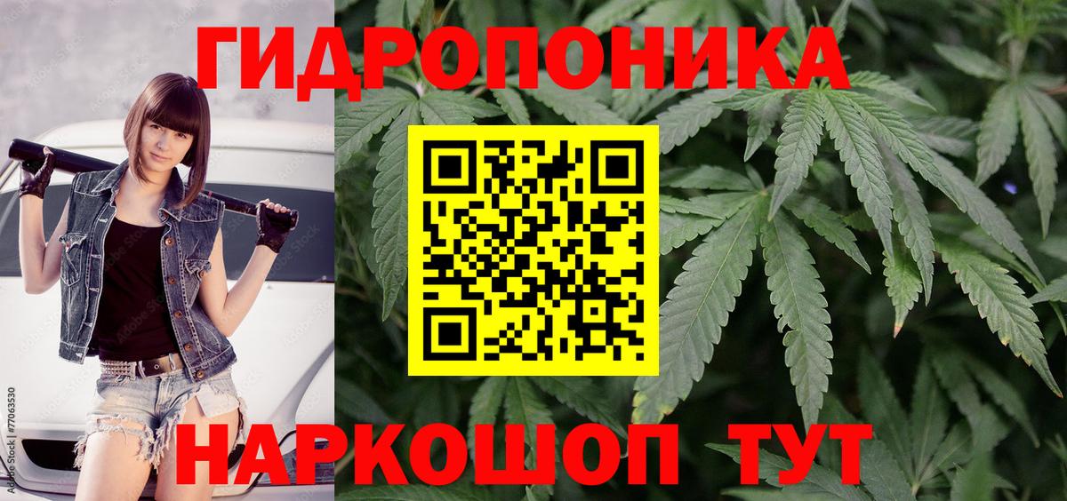Канабис семена  Каннабис план  Бошки марихуана VHQ  Бошки марихуана VHQ  Серов  Вход с VPN 